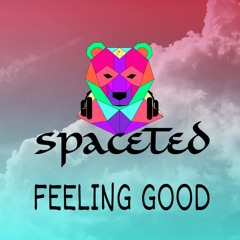 SpaceTed - Feeling Good(Extended Mix)
