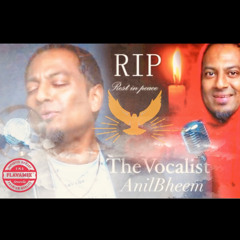 Anil Bheem - The Indian Vocalist InStereo (Remix)
