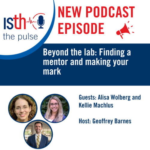 Beyond the lab: Finding a mentor and making your mark