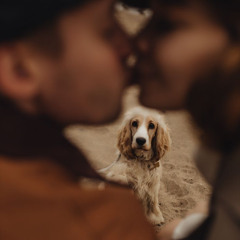 Memories Bark | NOW SPARKING THE NIGHT ⚡