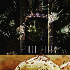 Fruit Flies