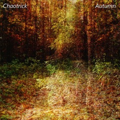 [9] Hyperbolic Journey