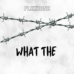 WHAT THE !  [ FREE DL ]