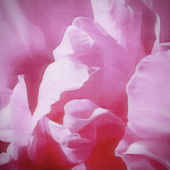 Himmelblau - Elysium Garden (Original Mix)