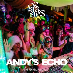 Andy's Echo - OE-AA-SIES - Tuesday Night @ Afrikaburn 2024
