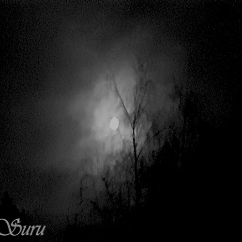 Suru - Broken by this useless life