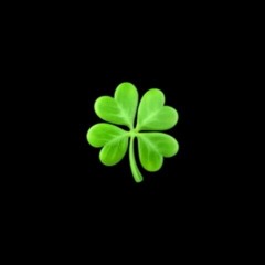 clover (aydenwdf cuhlout)