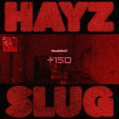 Hayz - Slug (Free DL)