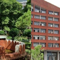 PSEB Class 8th Result 2020 Certificate Download: Easy and Fast Method