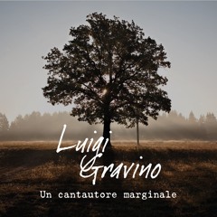 Un cantautore marginale