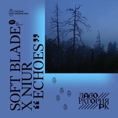Soft Blade x Niur — Echoes (Russian Cybernetics Laboratory with Alexander Kireev)