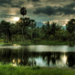 Wild Nature