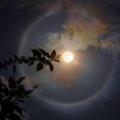 Halo Aureole (Last Night Of 2022)