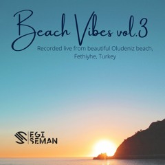 Beach Vibes vol.3