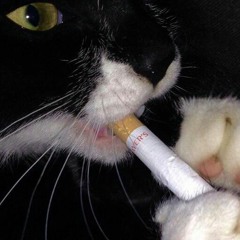 Oh My Gosh (luhckz leak 2023) p. K4nji