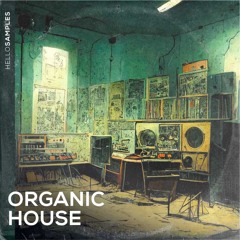 Flavours #2: Organic House - Demo Medley