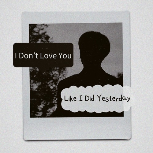 I Don't Love You (Cover)