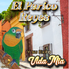 Y  Su Exito Vida Mia