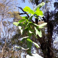 28.06.2022 - Cap. XI - Amar o Próximo Como a Si Mesmo - A Fé e a Caridade (2)