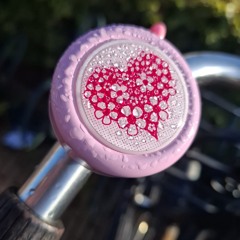 Fiets Fucking Sneller, Fiets Fucking Door