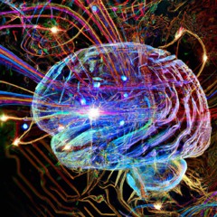 Brain Waves *Headphones Required*