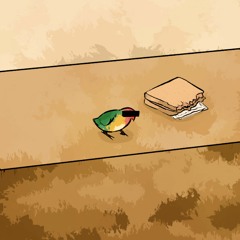 bread bird