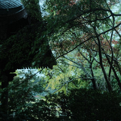 Log_20241118（demo）