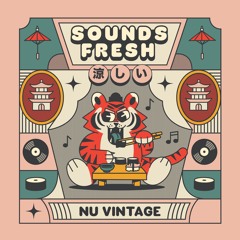 Nu Vintage - Dollar Bin Records