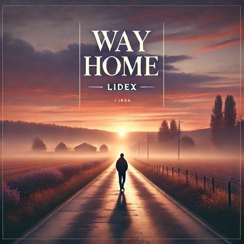 LidEx - Way Home