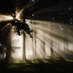 Gayatri Mantra (Light Breaking Through Mix)