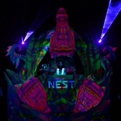 Wacky Walrus Mix | NEST Among the Gum Trees 2021