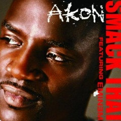 Akon - Smack That (DJ Paul Bootleg) Tech House Remix