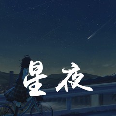 CMJ - 星夜【動態歌詞/pīn yīn gē cí】
