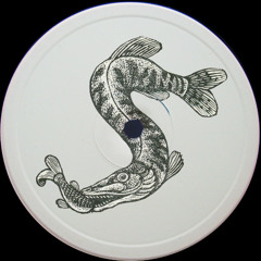 Masot - Sansevieria EP / CLIPS