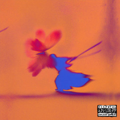 I Don't Chase I Replace