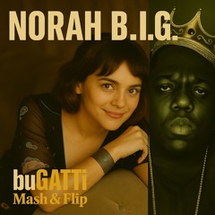 NORAH B.I.G. (buGATTi Mash & Flip)