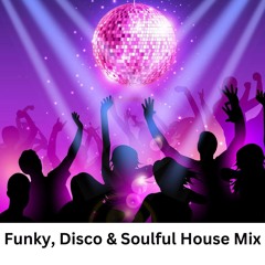 Funky, Disco & Soulful House Mix ( July 2024 )