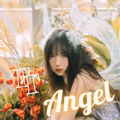 TT Angel