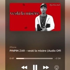 PINPIN ZAR - veski la misère