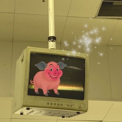 Spinee b2b Pig Ignorant 210625