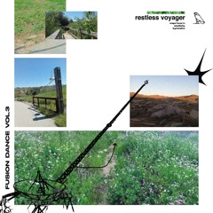 Capricorn, Sadisfy & Kyozaku - restless voyager