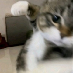 Runaway(Cover Avril Lavigne)