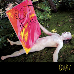 Der Storch (Instrumental)