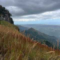 La vida eterna fue manifestada