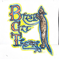 Black Cat Theory (Contact Buzz Session)