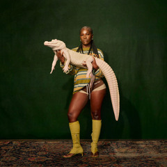 Doechii - Rain Bridge (Unreleased)