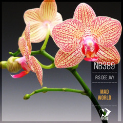 Iris Dee Jay - Mad World (Original Mix)