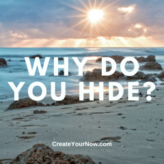 3129 Why Do You Hide?
