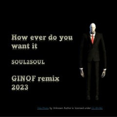 How Ever Do You Want Me   Ginof Soul2soul Remix 2023 A