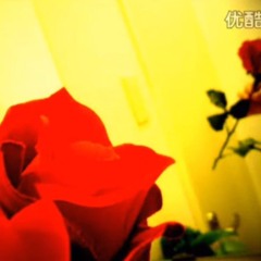 Princess of the stars GUMI